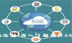 区块链时代的选择：深入了解国际SBlock数字钱包